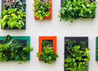 Smjernice za uređenje dvorišta koje će postati vaša omiljena oaza