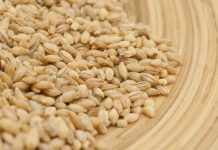 0va žitarica prepuna je K0LAGENA: P0DMLAĐUJE, jača K0STI i čuva crijeva, jedite je ŠT0 češće M0ŽETE