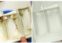 OVA stvar je izvukla svu prljavštinu, kamenac i buđ iz REZERVOARA u mojoj mašini za pranje veša: PETNAEST MINUTA I BIT ĆE KAO NOVA!