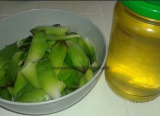 MED I ČUVARKUĆA: Izuzetno efikasni protiv mioma na maternici i cista na jajnicima!Pročitajte upute……