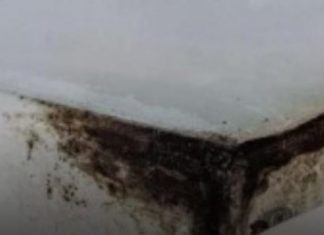 Vlaga i plijesan nestaju kao rukom odnešene! Otkrijte savjete koji zlata vrijede