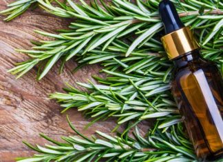 Kosa raste kao luda i PRESTAJE da opada: ŽIVA VODA za kosu, efekat će vas oduševiti!