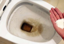 Zaboravite OCAT: Ovaj puder izkuhinje čisti toalet dok čekate – bez kamenca, žutih mrlja i mirisa!