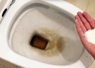 Zaboravite OCAT: Ovaj puder izkuhinje čisti toalet dok čekate – bez kamenca, žutih mrlja i mirisa!