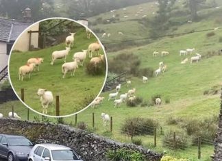 “Nisam mogla vjerovati svojim očima! Kako je to moguće?”