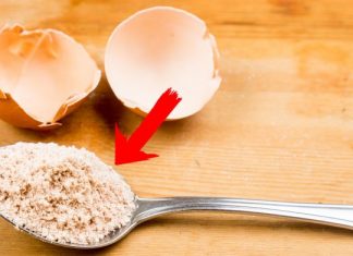 Ljuske od jaja su izuzetno vredne: Nemojte ih bacati – Sprečavaju osteoporozu, oporavljaju štitnjaču, normaliziraju rad mišića..