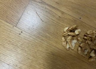 Nevjerovatan trik za uklanjanje ogrebotina na parketu: Jedna namirnica radi čuda!