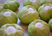 Kiseli kupus iz tegle, SPREMAN ZA 7 DANA! Pun vitamina, prirodni probiotik i lijek!