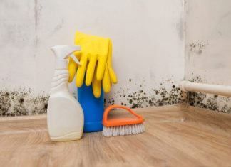 OD SKIDANAJ FLEKA, DO UKLANJANJA BUĐI SA ZIDOVA: