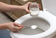 NE KUPUJEM SKUPE WC KUGLICE I GELOVE CIJELE GODINE: IMAM SAVRŠEN TRIK UZ KOJI WC BLISTA I MIRIŠE I DO 70 DANA!