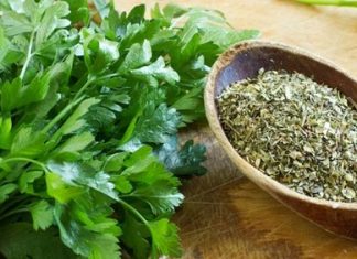 NISTE DEBELI, SAMO IMATE VIŠAK VODE U ORGANIZMU: Izbacite 5 litara viška vode iz tijela za 3 dana! SMANJITE KILAŽU (RECEPT)