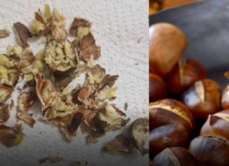 KESTENI SE SLABO GULE? VJEROVATNO PRAVITE OVU GREŠKU: Znate li za ovaj trik?!