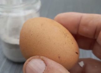 Ne Bacajte Ljuske od Jaja! Obesite ih u Bašti – Razlog će vas iznenaditi!