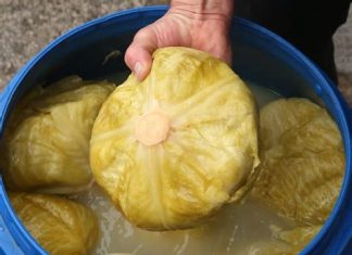 DOKTORI UPOZORILI: Ne jedite kiseli kupus ako bolujete od ovih bolesti