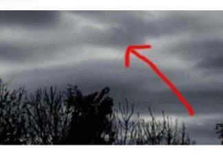 Čovjek Je Fotografisao Tamne 0blake, Kada Je Bolje Pogledao Sliku Trnci Su PREKRILI Njegovo Tijelo