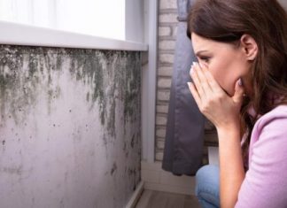 Nikada se ne biste sjetili: Vlage i buđi se najlakše možete riješiti ovim začinom