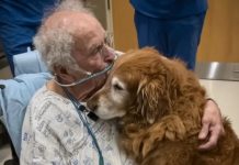 Šaptao je ime „Marfi“. Kada smo saznali ko je to, svi smo zaplakali.