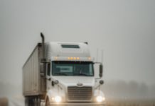 Vozač je primijetio desetke štenaca naguranih zajedno nasred autoceste – i, izlazeći iz auta, shvatio je zašto ne odlaze…