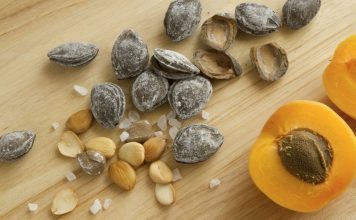 Gdje PRONAĆI vitamin B17 i KAKO ga koristiti