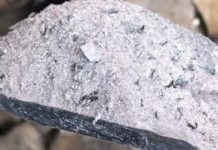 DA LI TREBA KORISTITI PEPEO DRVETA ZA PRIHRANU BILJAKA?