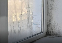 Moler otkrio kako da se riješite vlage i buđi: Dovoljna je samo jedna čašica ovog proizvoda