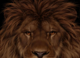 Test za 9 sekundi otkriva da li ste u grupi posebnih: Svi vide lava, a samo 5% ljudi primeti i drugu životinju