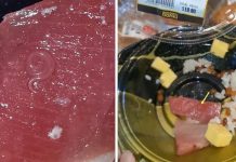 Žena ugledala parazita kako se migolji u mesu: “Videli smo ga kad smo skoro sve pojeli”