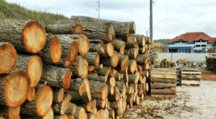 NARUČILA 5,5 METARA DRVA, PA POBJESNILA: Kad je čovjek došao da ih isječe, imali su šta da vide