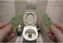 Evo zašto sam stavio lovorov list u kupatilo: Znale su već naše bake!