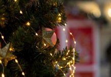 Kako da okitite jelku da privučete nov@c u 2026: Jedan stil je magnet za bog@tstvo, a stari ukras najvažniji