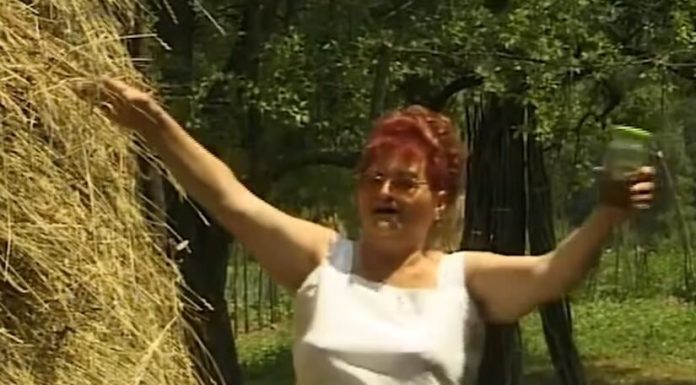 Niko nije imao luđi život od Mice Trofrtaljke: Tito je obožavao, goste iz kafane terala pištoljem, a bakšiš sa nastupa iznosila u džakovima