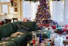 Dala sam svojoj rodici kuću za Božić dok nisam bila u gradu – ali ono što me dočekalo po povratku me šokiralo.