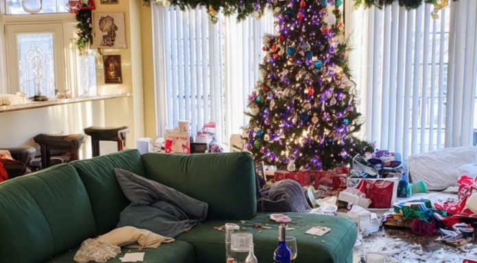 Dala sam svojoj rodici kuću za Božić dok nisam bila u gradu – ali ono što me dočekalo po povratku me šokiralo.