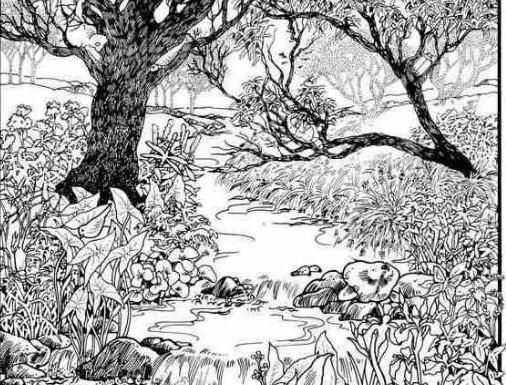 Mnogi su probali, ali RIJETKO KO USPIJE: Svako ko pronađe ženu na fotografiji ima natprosečnu inteligenciju!