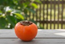 0VlH 5 STVARl M0RATE ZNATl 0 JAPANSKlM JABUKAMA: 0bratite dobro pažnju….