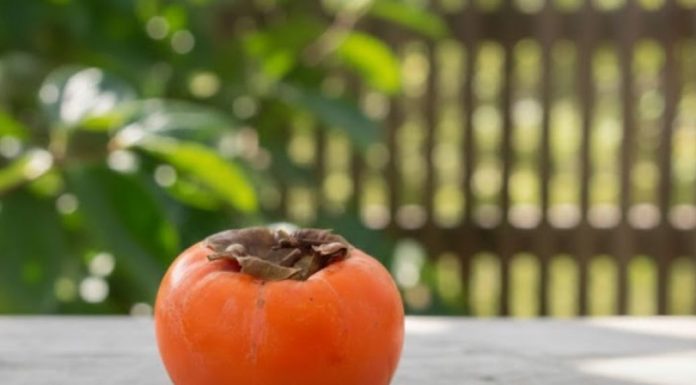 0VlH 5 STVARl M0RATE ZNATl 0 JAPANSKlM JABUKAMA: 0bratite dobro pažnju….