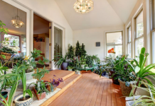 5 načina da napunite stan novcem: Staro feng šui pravilo koje deluje