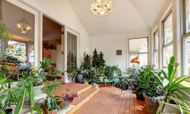 5 načina da napunite stan novcem: Staro feng šui pravilo koje deluje