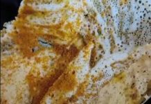 ZAGRIZLA JE HRANU, A ONDA JE IZLETELO NEŠTO ODVRATNO IZ NJE: Bilo ih je čak OSAM, RAZLETELI se po tanjiru