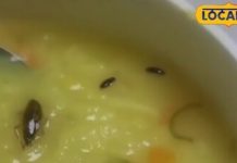 “Šokantno otkriće u ručku poslatom sa svekrve: Snaha nije mogla da veruje šta je pronašla!”