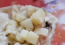 Kupila je krompirušu pitu u pekari: Nakon onog što je pronašla u njoj ogadila joj je za čitav život