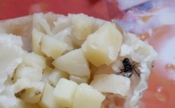 Kupila je krompirušu pitu u pekari: Nakon onog što je pronašla u njoj ogadila joj je za čitav život