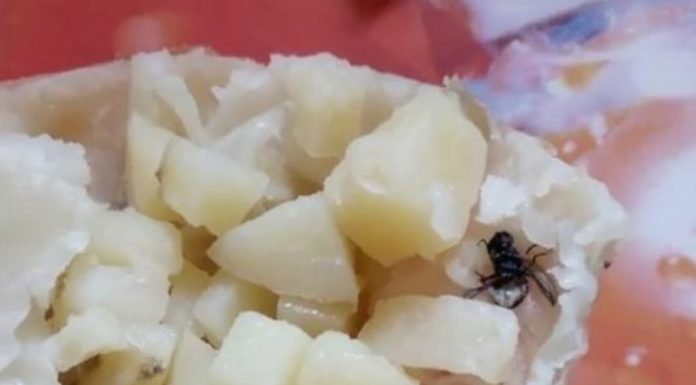 Kupila je krompirušu pitu u pekari: Nakon onog što je pronašla u njoj ogadila joj je za čitav život