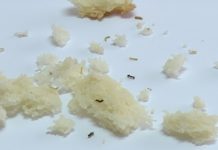 Bijeljina: Žena je pronašla crve u svom kruhu