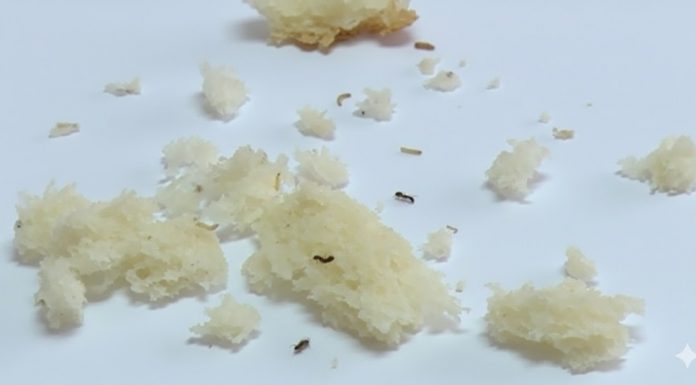 Bijeljina: Žena je pronašla crve u svom kruhu