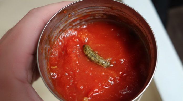 Šokantno Otkriće u Supermarketu: Kupac Izazvao Skandal Nakon Otvaranja Konzervirane Hrane!