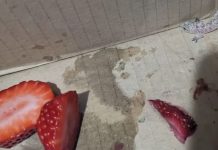 “Žena doživela užas u marketu: Šokantno otkriće koje je ostavilo sve bez reči!”