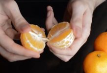 Šta se dešava ako svaki dan pojedete bar jednu mandarinu? Nismo ni svjesni koliko su moćne