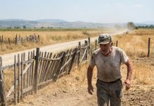 Komšije nisu progovorile reč 30 godina zbog pola metra zemlje: Kada je Ristan pao u njivi, onaj “najgori neprijatelj” je uradio nešto što je postidelo celo selo