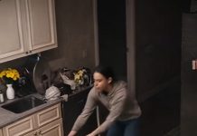 Kada je muž instalirao kameru, istina ga je zaledila: pas nije napadao — sprečavao je ono najgore